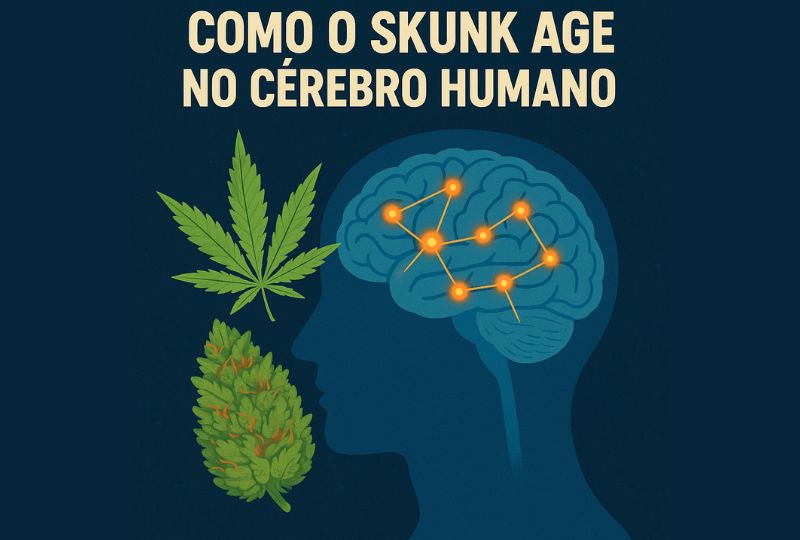 Como o Skunk age no cérebro humano