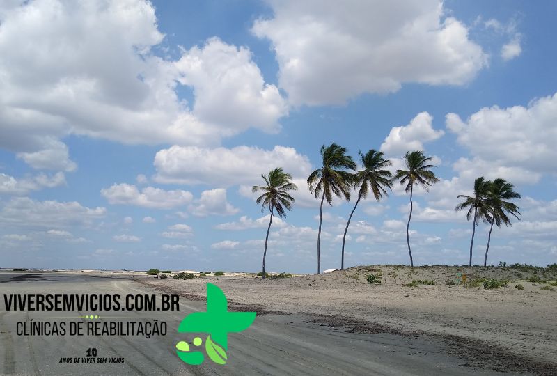 Clínica de recuperação em Paço do Lumiar